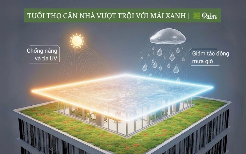 Vườn trên mái là gì? 11 Lợi ích nâng tầm giá trị căn nhà của bạn